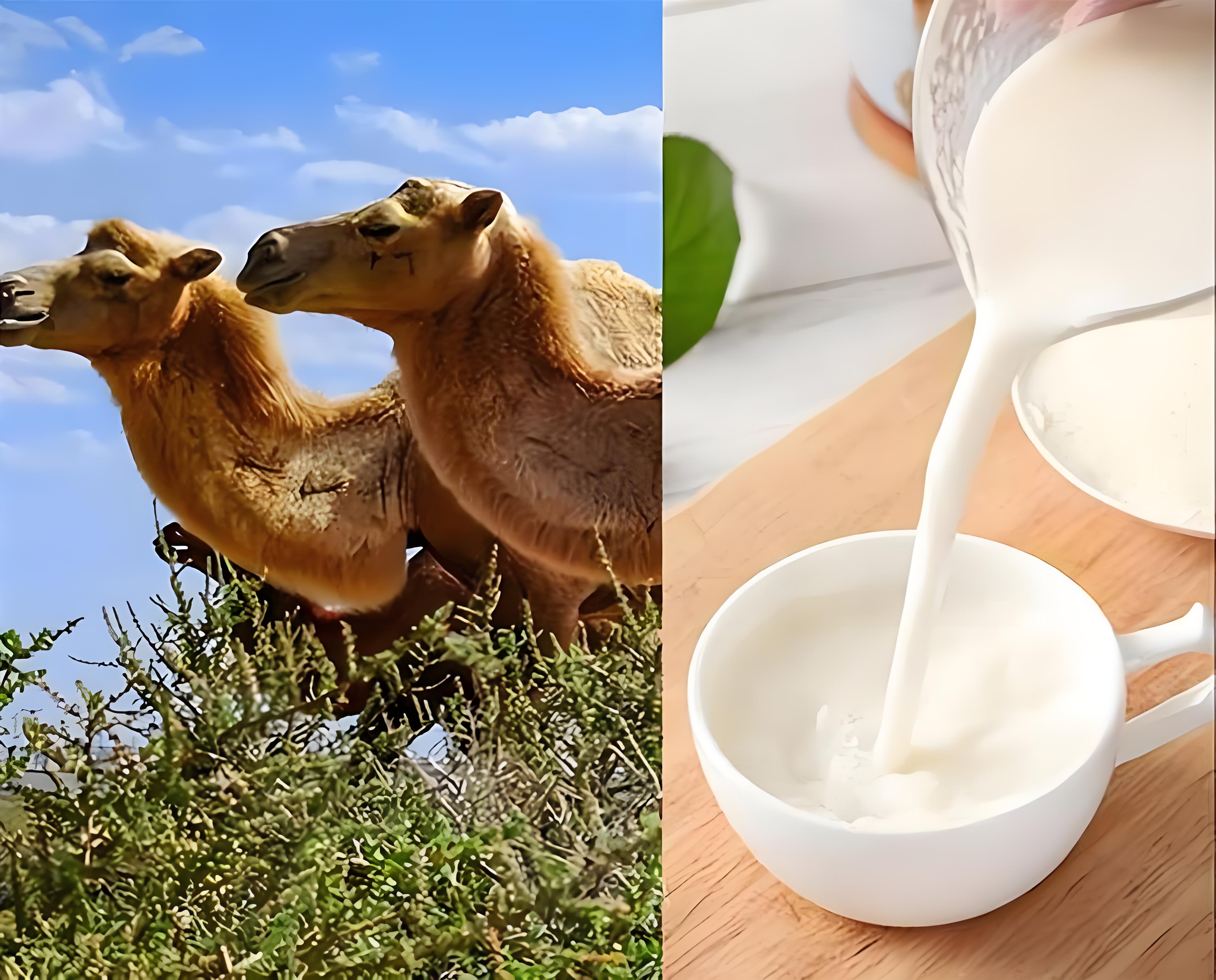 LETOU - 乐投(国际米兰)官方网站