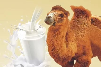 LETOU - 乐投(国际米兰)官方网站