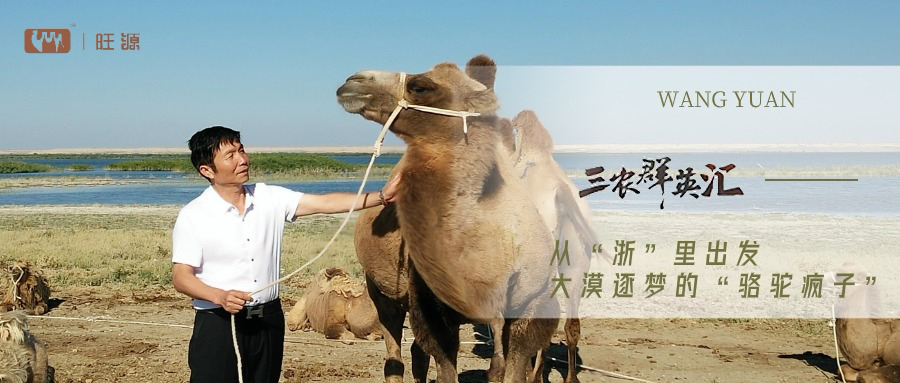 央视聚焦丨CCTV17《三农群英汇》讲述陈钢粮董事长的感人故事！